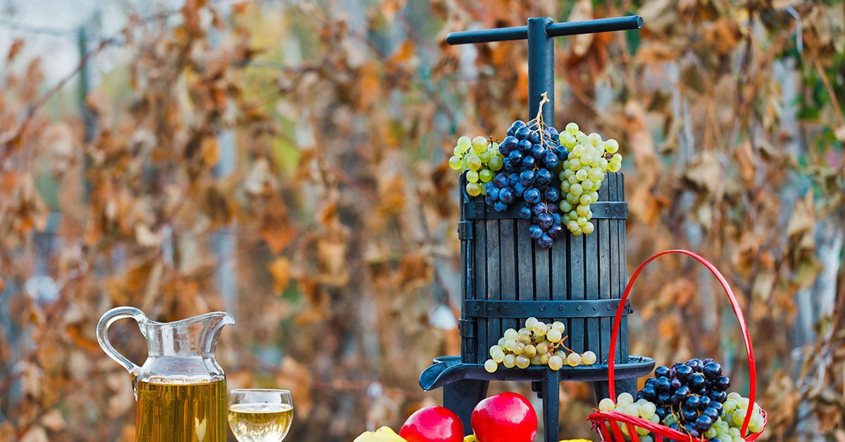 Основные правила и секреты виноделия у себя дома